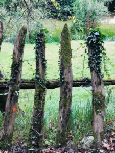 JAHRESKREISFEST @ an verschiedenen Orten in der Natur - bitte erfragen