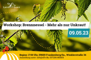 Workshop: Brennnessel – Mehr als nur Unkraut! @ Geschäftsstelle Sächsischer Landfrauenverband e.V.