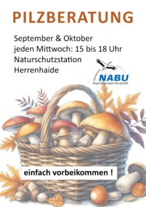 Pilzberatung @ Naturschutzstation Herrenhaide