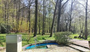 Eröffnung der Kneipp-Saison im Rahmen der bundesweiten Kneipp-Aktion zum Tag des Wassers @ 09350 Lichtenstein