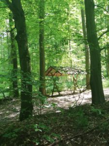 Waldbaden mit Kneipp-Anwendungen @ Uhlsdorf