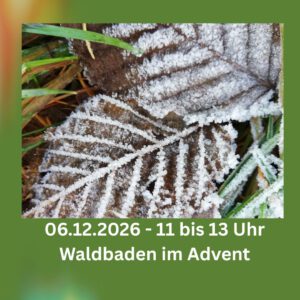 Waldbaden im Advent @ Hohenstein-Ernstthal