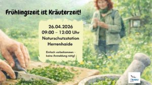 Kräuterspaziergang - Frühlingszeit ist Kräuterzeit @ NABU Burgstädt e.V.